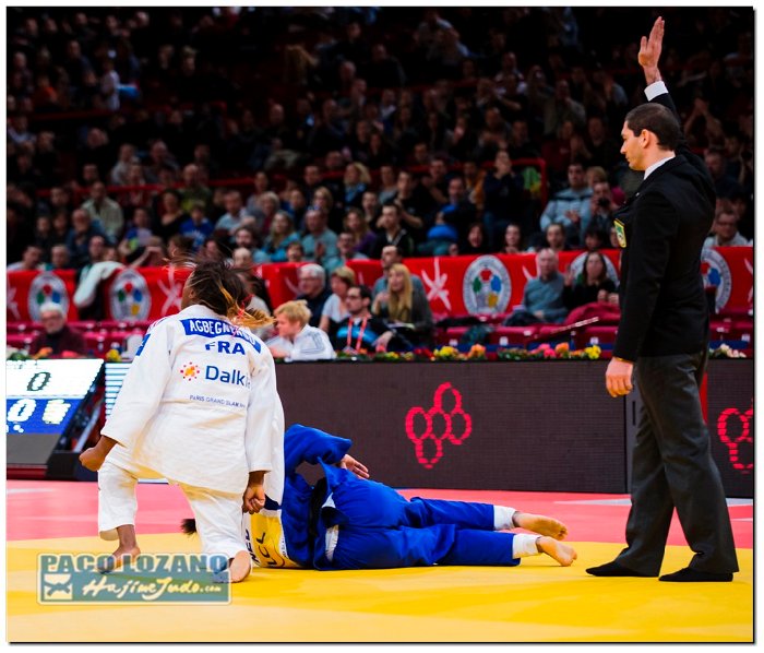 Paris 2014 by P.Lozano cat -63 kg (135)